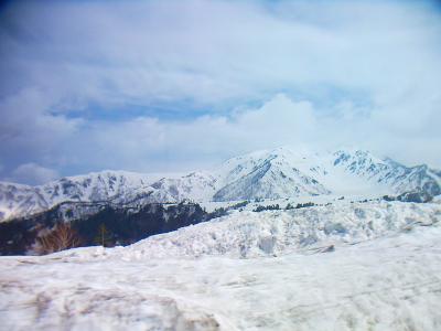 下から見ても雪はたっぷりある。今年は雪が多かったからね