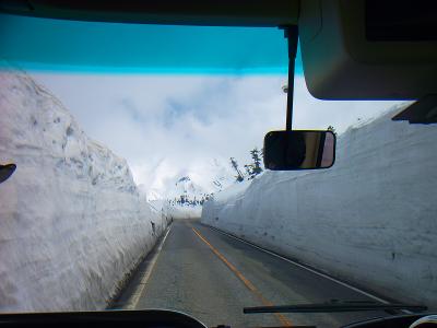 美女平から室堂までバス。雪の壁がすごくて一番高いところで17mあったとか
