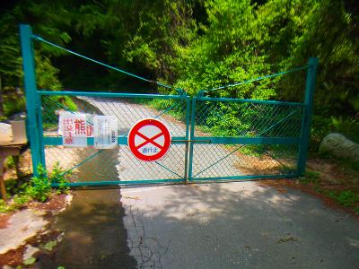 広河原駐車場に車を停めて林道ゲートからスタート