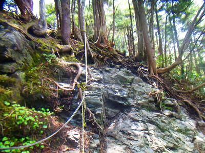 こういう岩場の道もあった。この山はずっとこういうのなかったけど、まあここだけかな