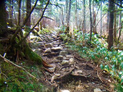 この付近からはガレ場の道になる。母はもはやリタイアしてるので急いで山頂を目指すが歩きにくい