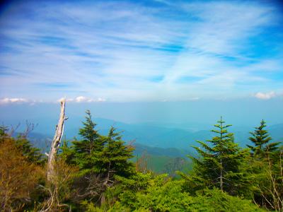 本当は中央アルプスが見えるはずだけど、この霞だと何も見えないね