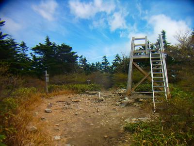 恵那山山頂に戻ってきた。実はこの手前で道を間違えて変なところ下ってしまったけど、すぐ気づいてなんとか戻ってきた