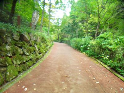 舗装された道をひたすら歩いていく