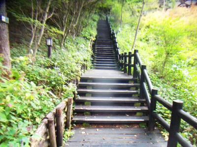 綺麗な階段もある。かなり整備された道のようだね