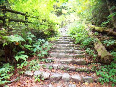 少し登山道っぽくなったかな。それでも整備された石の階段