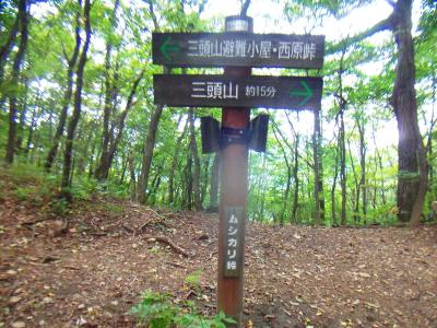 ムシカリ峠に到着。ここから尾根歩きだけど山頂は近い