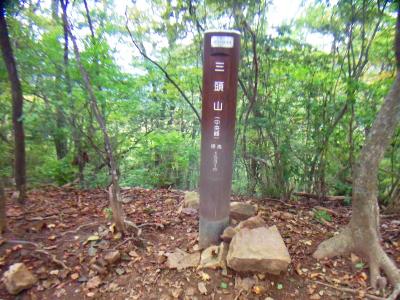三頭山・中央峰(1531m)に到着。ここがメインの三頭山山頂になるのか