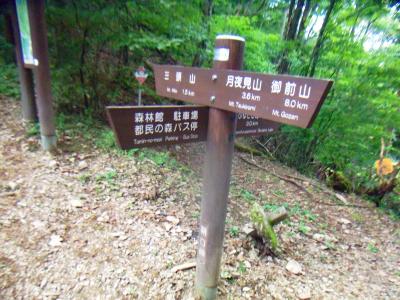 ここで分岐。駐車場へ戻る。しかし、今度行こうと思っている御前山まで8.0kmってここから歩く人いるのかな！？