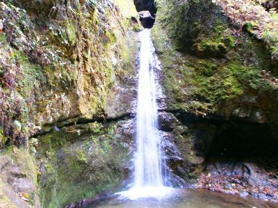 七代の滝。今回は大岳山に直接向かうのではなくてロックガーデンをまわって行く