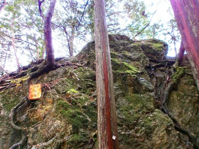 天狗岩というらしい。記憶にないが確かこれを登るんだっけかな