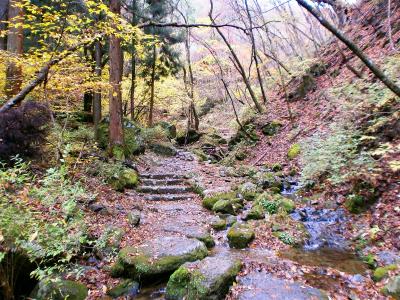沢筋、ロックガーデンを歩いていくが七代の滝よりあまり面白みがない