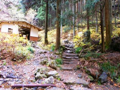 沢筋が終わって分岐。立派な東屋もあるけどちょっとした休憩場所といった感じだった