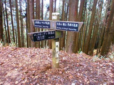 ここから大岳山を目指す。沢筋が結構長かったけど、母も体力的にまだいけるらしい