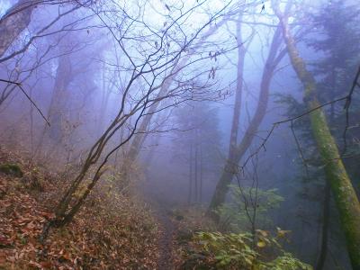 下山時、完全にガスってしまった。まあ視界がなくなるほどのガスじゃないけど・・・