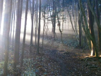 ガスの中で日が差して神秘的な光景を望むことができた
