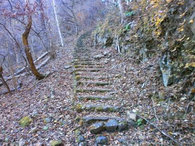いきなりの階段。結構長いように見えるが・・・