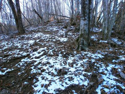 結構、雪がちらほらでてきた。まあ冬だから雪があってもおかしくないね