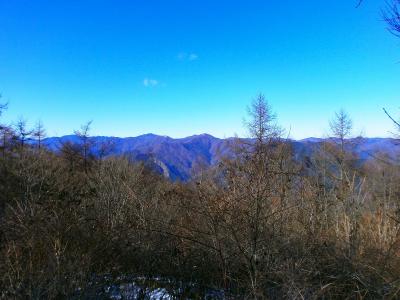 展望がない山という情報だったけど、少しだけ北側が見える。奥の高い山は雲取山だろうか！？