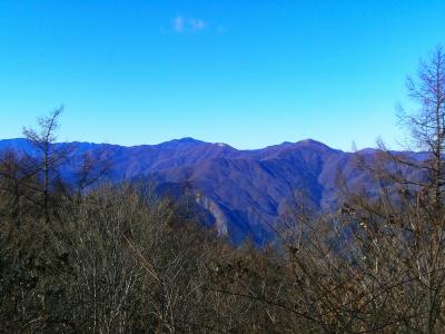 展望をズームしてみる。やっぱ方角的には雲取山方面だと思うけど違うのかな！？