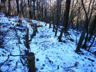 御前山を後にして次は大ダワを目指す。雪の量が結構あるね。でもアイゼンを出すほどでもなかった