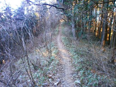 雪はすっかりなくなった。大ダワまであと少しだと思う