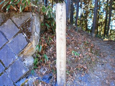 大ダワに到着。ここで天地山のほうへ下ればいいが、鋸山に登ってみたいのでピークハントすることにした