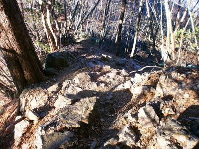 続いて天地山へ下っていく