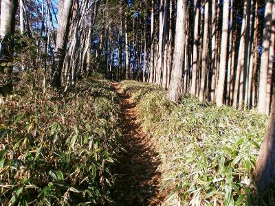この尾根道は人がいなかったけど踏み跡はしっかりあるし歩きやすかった