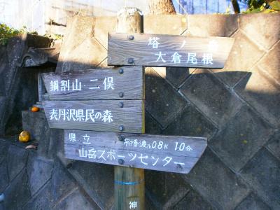 まずは鍋割山を目指す