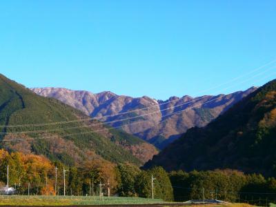 晴天で文句なし。この調子で今日はずっと歩きたい