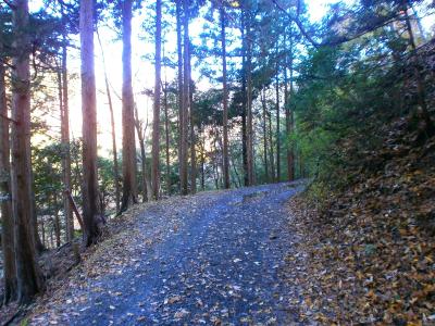 まずは林道を歩いていく。時折、車が通るのでうらやましいと思うけど、予定のルート的には車は無理なんよね