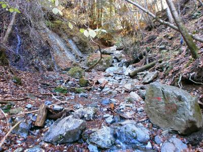 登山道は整備されているものの、沢筋はペンキの矢印があるけどわかりにくい。ただこの付近だけの話だけどね