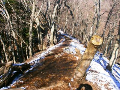 尾根に取り付くと雪がちらほらあった。ここからがちょっと急登になる
