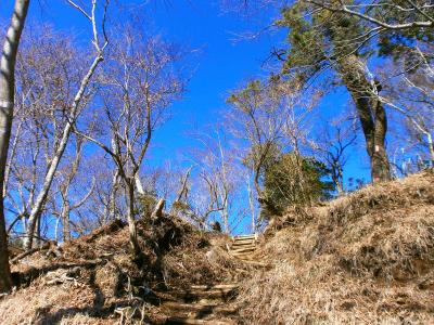 これを登りきったところに展望の良さそうなところがありそうだと期待しながら登る