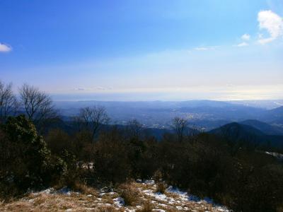 秦野市！？の展望が見えた。これ夜景で見てみたいけど、ここまで長かったなぁ