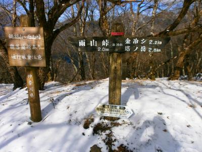 続いて2.8km先の塔ノ岳を目指す。ここからは縦走路になる