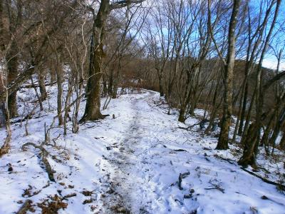 縦走路も雪道が続く。軽アイゼンを持ってたけど、とりあえず全然なくても平気だった