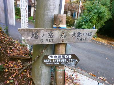 やっと大倉尾根（バカ尾根）が終わった。マジで長い尾根コースだった。塔ノ岳まで6.4kmって、距離的にほとんどが尾根なはず。ここから秦野ビジターセンターに戻った。本当にお疲れ様でしたという山行だった