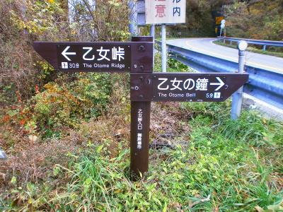 とりあえず乙女峠を目指す。３０分ほどで登れるのか