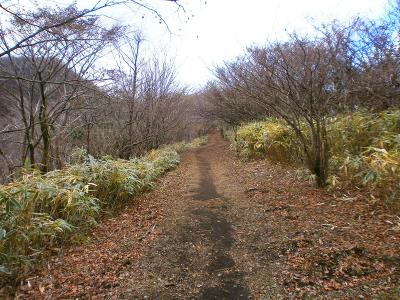 整備されているのか、かなり歩きやすい登山道