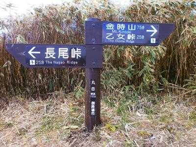 続いて金時山を目指す。７５分だけど時間的には余裕だね。帰りのバスには十分間に合う