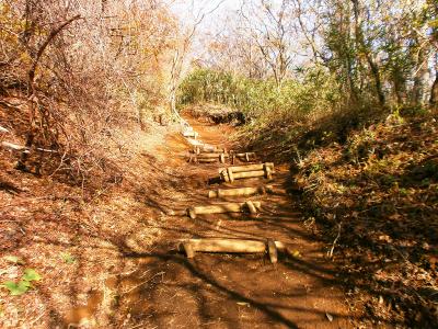 金時山への登りも整備された登山道で非常に歩きやすい
