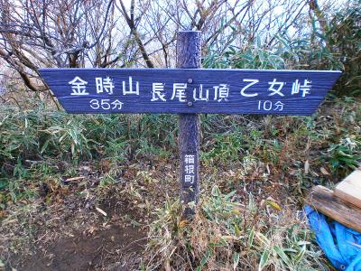 長尾山頂となってるけど、ここ登山道の途中のような気もする。あと３５分か・・・
