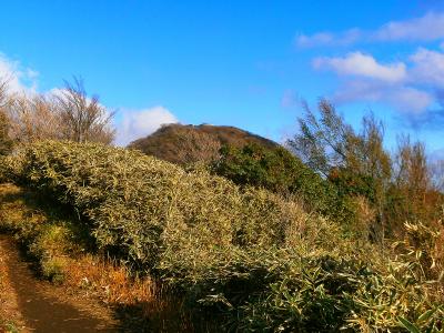あれが金時山山頂かな。山頂になにか立ってるけど看板っぽい。それにしても快晴で天気はバッチリだ