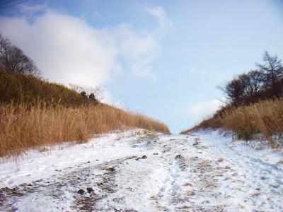 この付近はススキの道になっている。ススキが埋まるほど雪があればスキー場も続けられたのかな