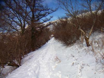 雪の量が増えてきた。トレースはあるもののやっぱこの辺の雪は重い