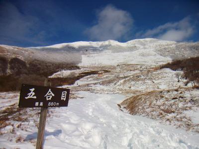 四合目を通り過ぎて五合目に到着。標高880mとまだあと500m近く登らないといけない。先に六合目付近の避難小屋が見える