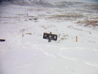 標高990mの六合目に到着。まだ標高1000mになっていない。雪の量が一気に増えて看板が埋まっていた