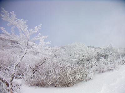 霧氷を撮影するが晴れていればかなりグッドな景色なのに・・・